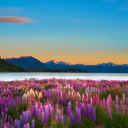 Lake Views At Antler Lodge Lake Tekapo Eksteriør bilde