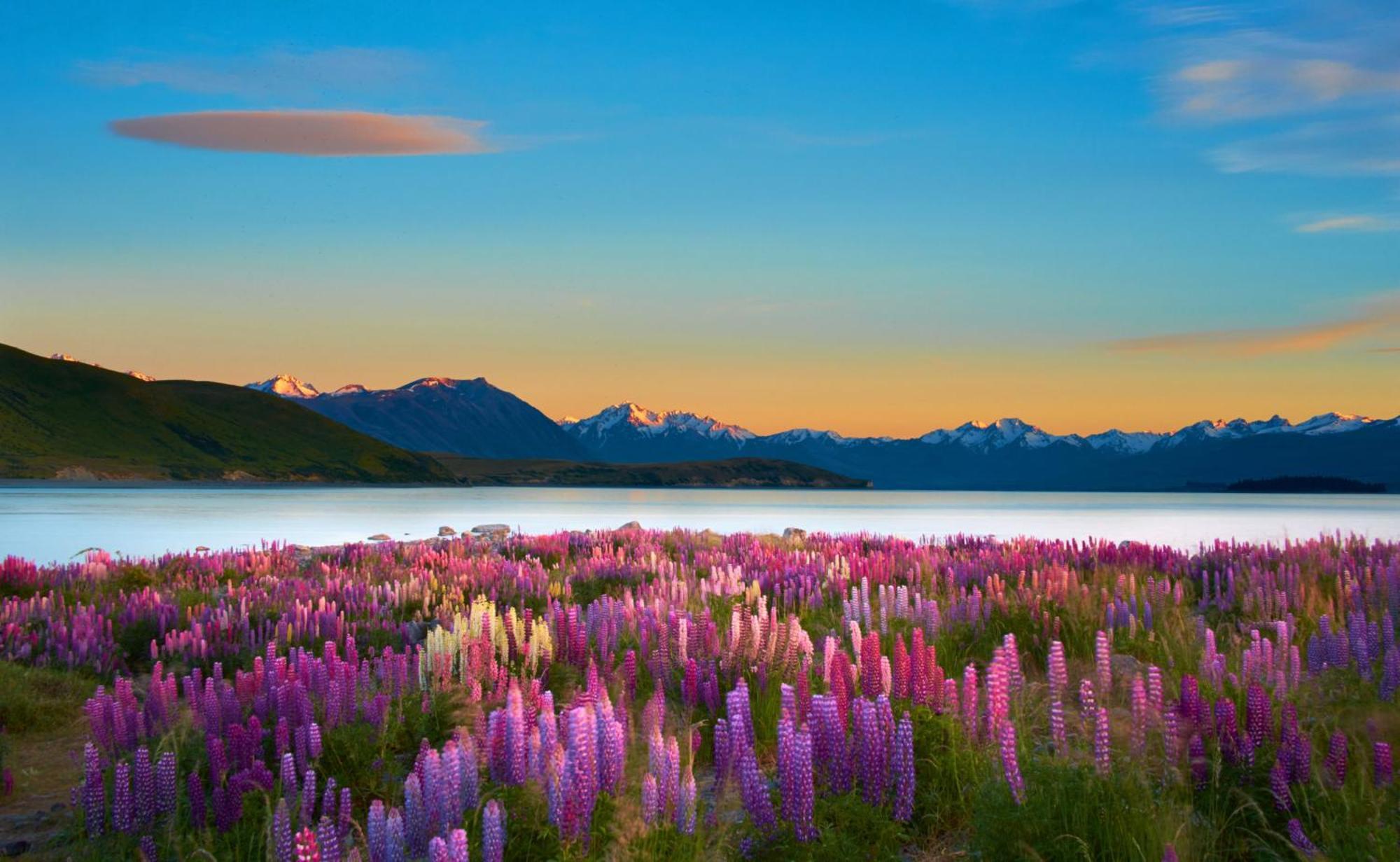 Lake Views At Antler Lodge Lake Tekapo Eksteriør bilde